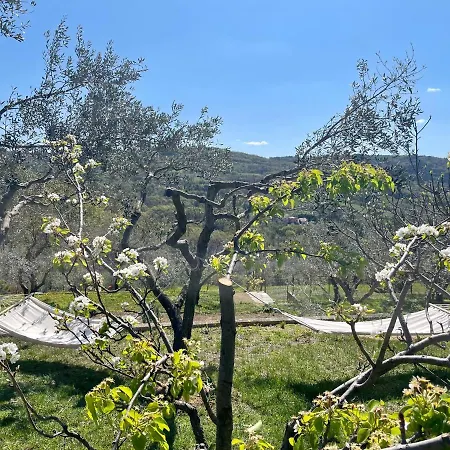 Olea Mar Apartma Pobegi