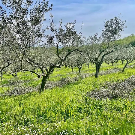 Olea Mar Apartma * Pobegi