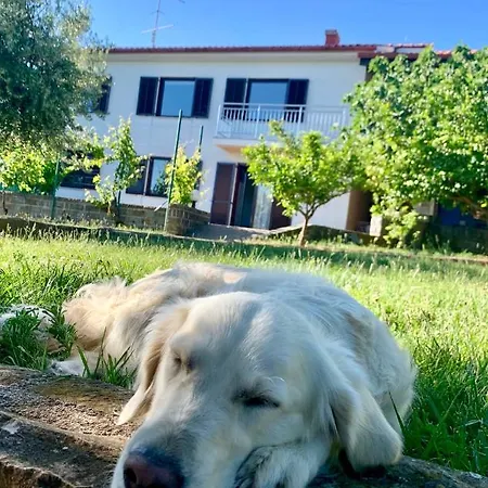 Apartman Olea Mar Apartma