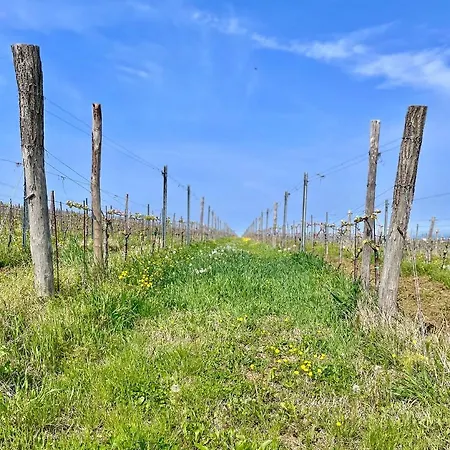 Appartement Olea Mar Apartma *