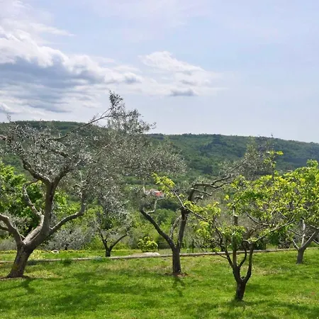 Apartman Olea Mar Apartma *