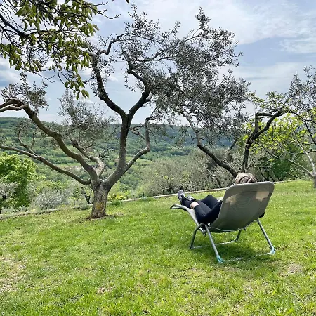 Daire Olea Mar Apartma