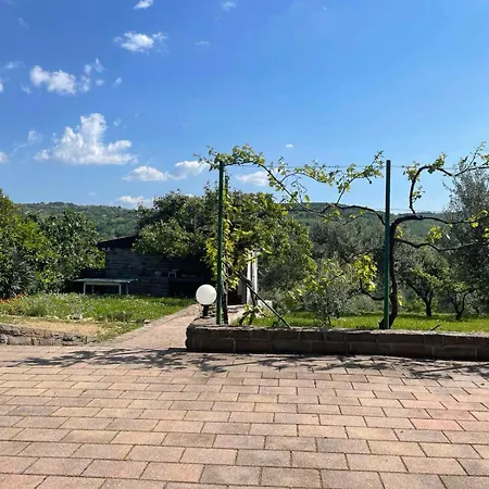 Olea Mar Apartma