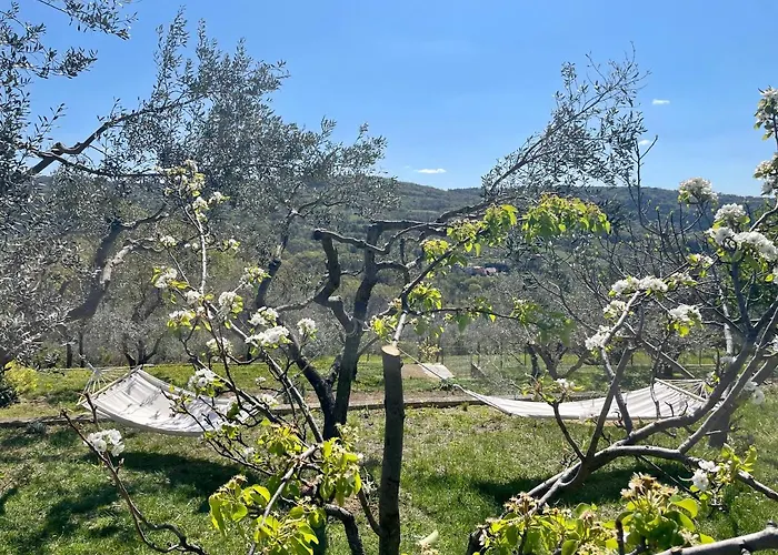 Olea Mar Apartma Pobegi