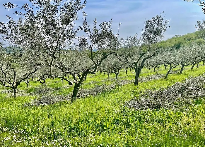 Olea Mar Apartma * Pobegi