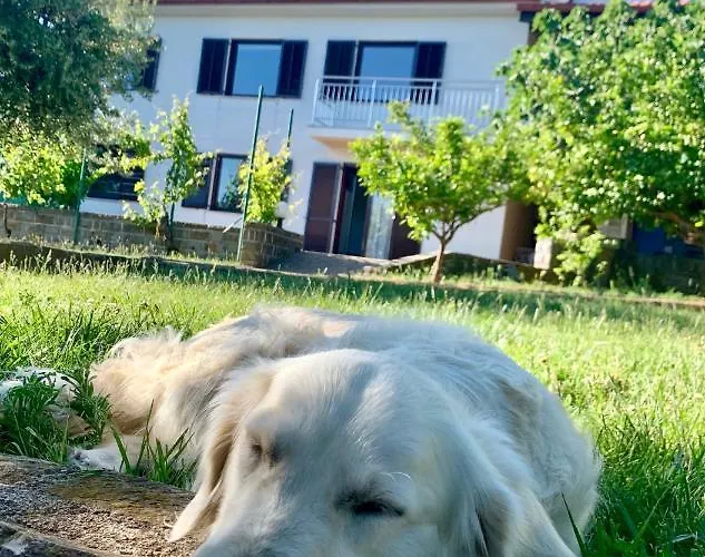 Appartamento Olea Mar Apartma